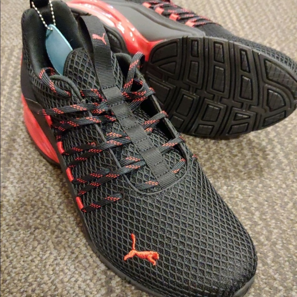 Puma